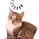 Alejandro Barrientos