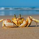 JERONIMO ORTEGA VEGA