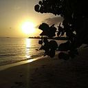 Claudia Marcela Motto