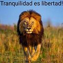 Benjamin Contreras Profe