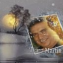 Alvaro Martin Castillo Sánchez