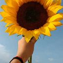 Nallely Flores