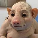 Mayenia López Herrero