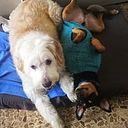 Yolanda Ferrer Bilbao