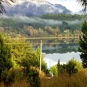 Cafecito de la Noche