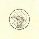 falcolini