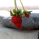 ainara socorro ramos