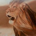 Carlos Sánchez Catalá