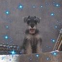 Karolina Montes De Oca