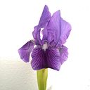 María Jesús Hernández Hernando