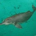 Mario Marquez Gaspar