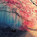 Jimena Rodríguez Valdivia