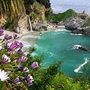 Norma Naranjo Collado