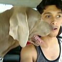 Javier Hernandez Sandoval