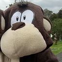 Roberto Jose Manrique