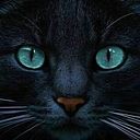 Gloria Correa Palacios