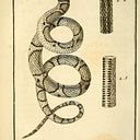 Jorge Vázquez Saldivar