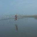 Giovanna Carpio Herrera