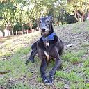 Mariaa Celeste García