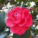 Etzen Cruz Rodríguez