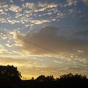 Daniela Beatriz Montaño Flores