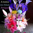 reyes efren rico duran