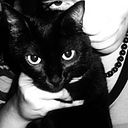 Alejandra Yañez Marcano Chávez Frías