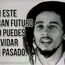 Jose Alarcon Q