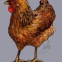 Neil MacDonald