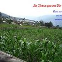 Livio Edgar Alejos Albornoz