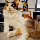 Alexandra María Rodríguez