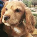 Anny Arredondo Florez