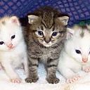 Catalina Vargas Martínez