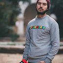 Francisco Palacios Apablaza