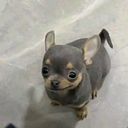 Geovanny Rincón Coral