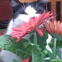 María Guadalupe Castañeda Retiz