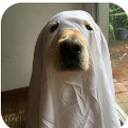 Victoria Martín Martí