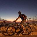 Francisco Roa Tamayo