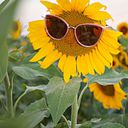 Mayra Zulema Chaparro Campos