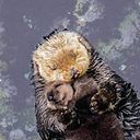 Rubria Adriana Chaires Bricaire