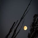 Jorge Carbajo Aliaño