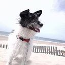 Miguel Angel Galán Sánchez