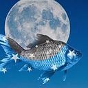 Juliana Monroy Ortiz