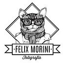 Felix Morini