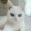 María Gutiérrez Vásquez