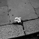 Maria Alejandra Hidalgo