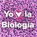 Alejandra del Carmen Gutierrez García