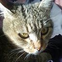 Daniel Alia Gonzalez