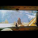 Violeta Fijalkauskas