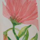 Ana María González de Murillo Morales